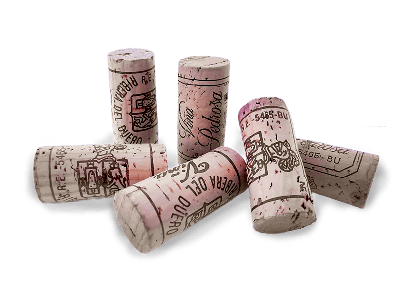 Bodega Pérez Pascuas Viña Pedrosa