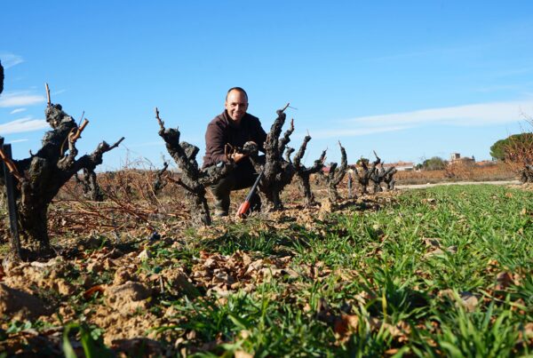Mejor viticultor Ribera del Duero